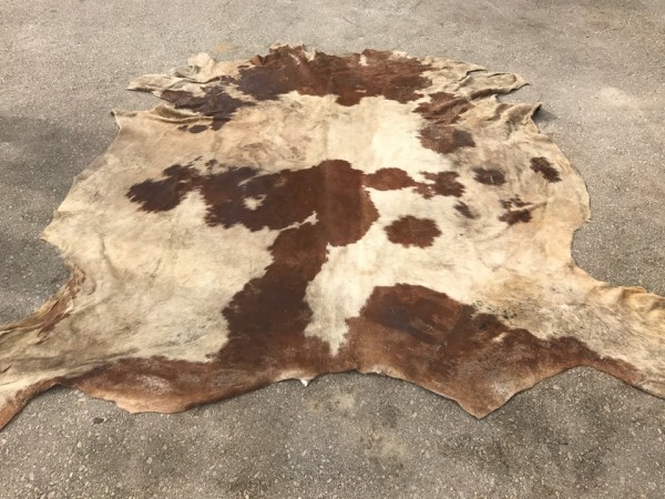 bull hides