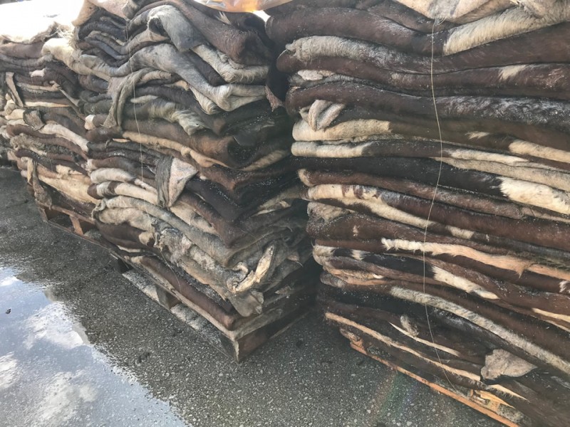 cow hides